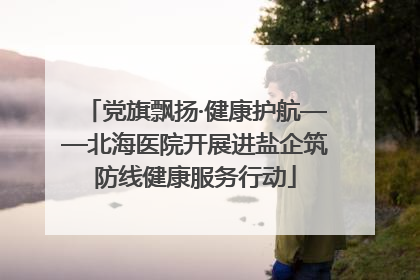 党旗飘扬·健康护航——北海医院开展进盐企筑防线健康服务行动