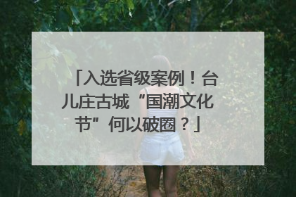 入选省级案例！台儿庄古城“国潮文化节”何以破圈？