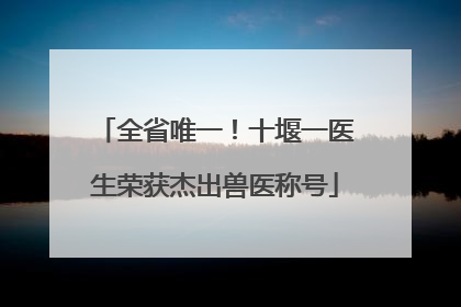 全省唯一！十堰一医生荣获杰出兽医称号