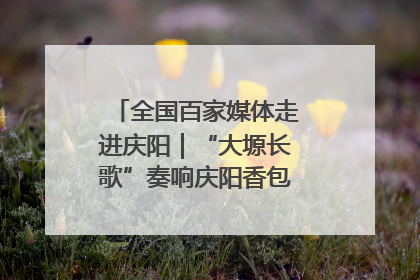 全国百家媒体走进庆阳｜“大塬长歌”奏响庆阳香包民俗文化节序曲