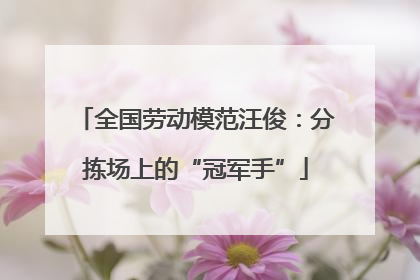 全国劳动模范汪俊：分拣场上的“冠军手”