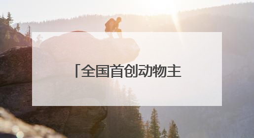 全国首创动物主题市集在哈尔滨极地公园火热开市