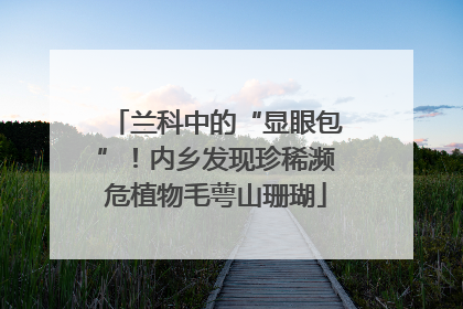 兰科中的“显眼包”！内乡发现珍稀濒危植物毛萼山珊瑚