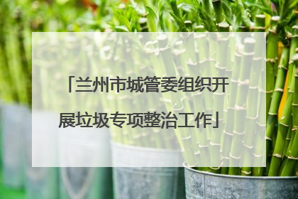 兰州市城管委组织开展垃圾专项整治工作