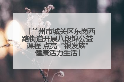 兰州市城关区东岗西路街道开展八段锦公益课程 点亮“银发族”健康活力生活