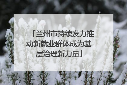 兰州市持续发力推动新就业群体成为基层治理新力量