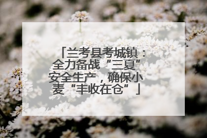 兰考县考城镇：全力备战“三夏”安全生产，确保小麦“丰收在仓”