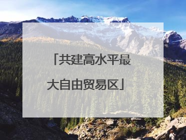 共建高水平最大自由贸易区