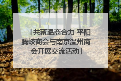 共聚温商合力 平阳腾蛟商会与南京温州商会开展交流活动
