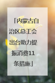 内蒙古自治区总工会出台助力提振消费11条措施