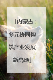 内蒙古：多元协同构筑产业发展新高地