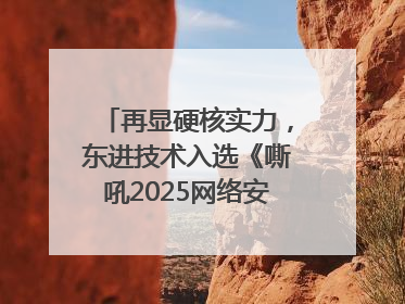 再显硬核实力，东进技术入选《嘶吼2025网络安全产业图谱》