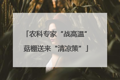 农科专家“战高温” 菇棚送来“清凉策”