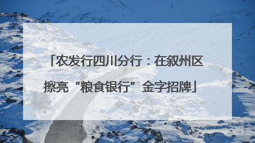 农发行四川分行：在叙州区擦亮“粮食银行”金字招牌