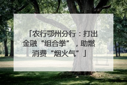 农行鄂州分行：打出金融“组合拳”，助燃消费“烟火气”