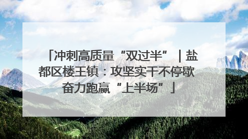 冲刺高质量“双过半”｜盐都区楼王镇：攻坚实干不停歇 奋力跑赢“上半场”