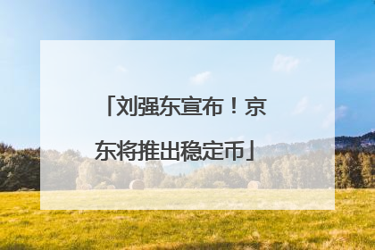 刘强东宣布！京东将推出稳定币