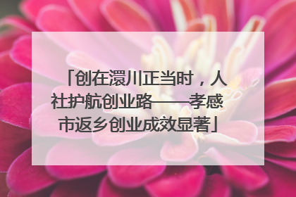 创在澴川正当时，人社护航创业路——孝感市返乡创业成效显著