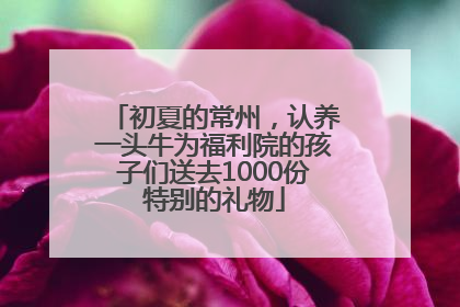 初夏的常州，认养一头牛为福利院的孩子们送去1000份特别的礼物