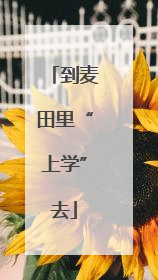 到麦田里“上学”去