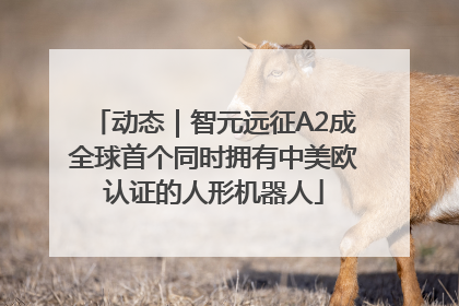 动态｜智元远征A2成全球首个同时拥有中美欧认证的人形机器人