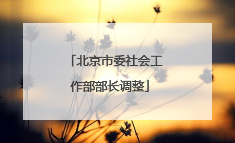 北京市委社会工作部部长调整