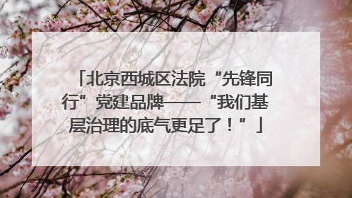 北京西城区法院“先锋同行”党建品牌——“我们基层治理的底气更足了！”