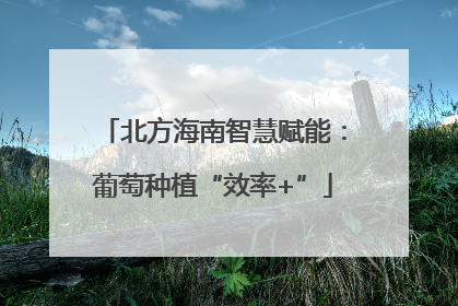 北方海南智慧赋能：葡萄种植“效率+”