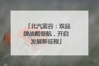 北汽蓝谷：双品牌战略领航，开启发展新征程