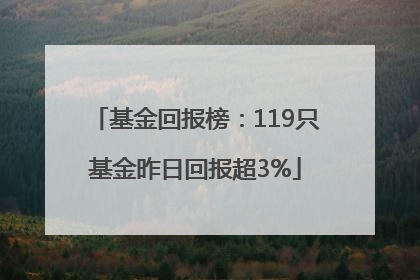 基金回报榜：119只基金昨日回报超3%