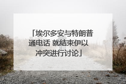 埃尔多安与特朗普通电话 就结束伊以冲突进行讨论