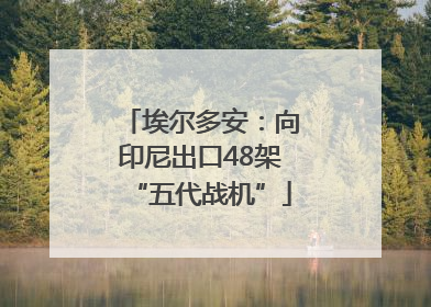埃尔多安：向印尼出口48架“五代战机”