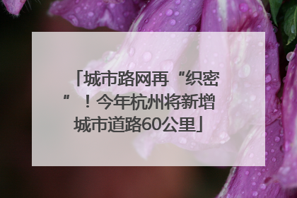 城市路网再“织密”！今年杭州将新增城市道路60公里