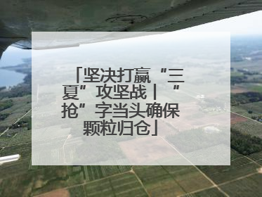 坚决打赢“三夏”攻坚战丨“抢”字当头确保颗粒归仓