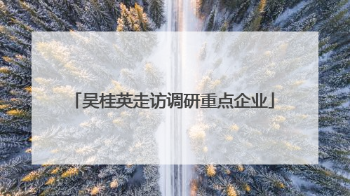 吴桂英走访调研重点企业