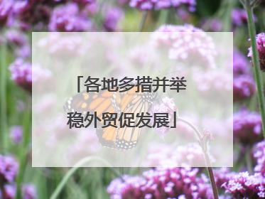 各地多措并举稳外贸促发展