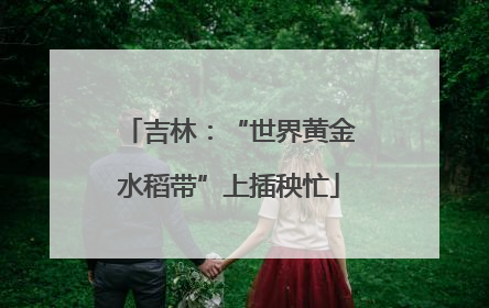 吉林：“世界黄金水稻带”上插秧忙
