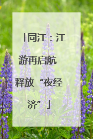 同江：江游再启航 释放“夜经济”