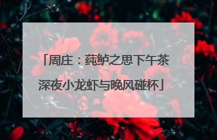周庄：莼鲈之思下午茶 深夜小龙虾与晚风碰杯