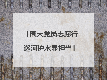 周末党员志愿行 巡河护水显担当