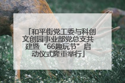 和平街党工委与科创文创园事业部党总支共建暨“66趣玩节”启动仪式隆重举行