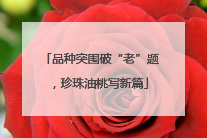 品种突围破“老”题，珍珠油桃写新篇