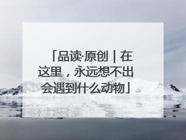 品读·原创｜在这里，永远想不出会遇到什么动物