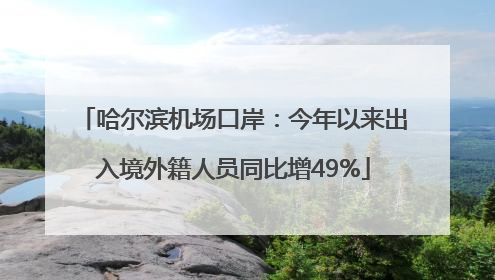 哈尔滨机场口岸：今年以来出入境外籍人员同比增49%