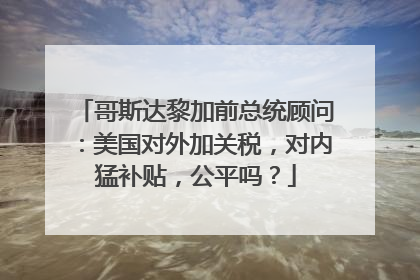哥斯达黎加前总统顾问：美国对外加关税，对内猛补贴，公平吗？