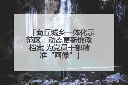 商丘城乡一体化示范区：动态更新廉政档案 为党员干部精准“画像”