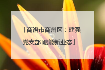 商洛市商州区：建强党支部 赋能新业态