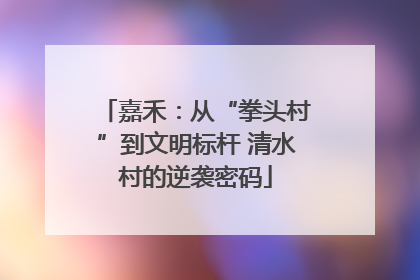 嘉禾：从“拳头村”到文明标杆 清水村的逆袭密码