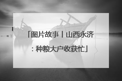 图片故事丨山西永济：种粮大户收获忙