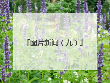 图片新闻（九）